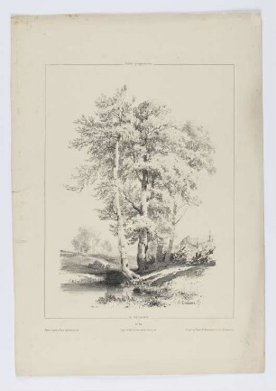 Bäume, Blatt 29 der Folge "Landschaftsstudien"