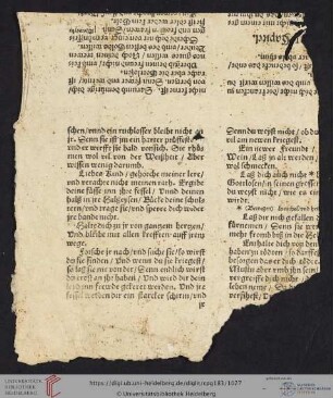 VIII. Blattfragment aus Martin Luther, Das Taufbüchlein verdeutscht und aufs neu zugericht und Martin Luther