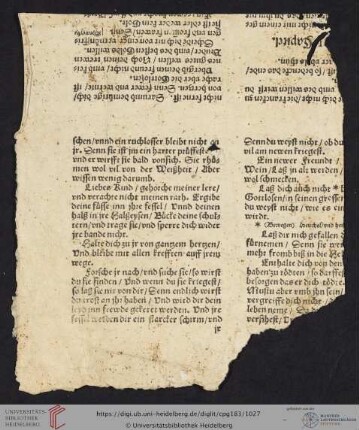 VIII. Blattfragment aus Martin Luther, Das Taufbüchlein verdeutscht und aufs neu zugericht und Martin Luther