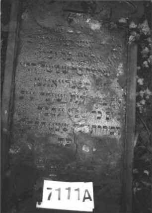 Grabstein 1111 (Index: 99899784) Material: Sandstein Zustand: stark verwittert Maße HxBxT: 153x63x14 cm Beschreibung: aufgesockelte Stele mit geschweiftem Bogenabschluss, Levitenkanne im Bogenfeld, umgestürzt, liegt Symbolik: Levitenkanne: Grabstein 7111A