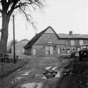 Bauerngehöft Meyer: vorn Zufahrt mit Wasserpfützen: daran zwei Enten: rechts Trecker: links Baum und Strommast: hinten links Wirtschaftsgebäude
