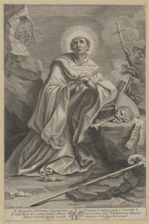 Bildnis des Bernardus Ptolomeus