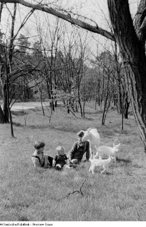 Drei Kinder mit Ziegen, im Gras sitzend