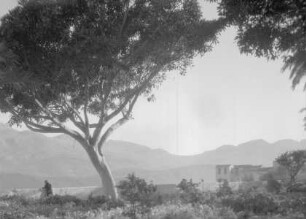 griechische Berglandschaft