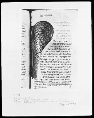 Vetus Testamentum — Initiale P (ost mortem Josue), Folio 85 recto