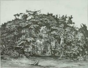 Naturschutzgebiet Insel Vilm