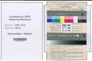 Entnazifizierung Wilhelm Hammelstein , geb. 15.03.1902 (Vers.Vertreter)