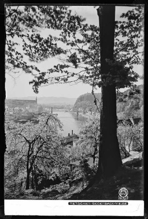 Blick auf Tetschen-Bodenbach an der Elbe