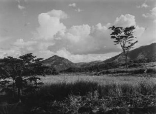 Die Uluguru-Berge : Ausläufer der Uluguru-Berge