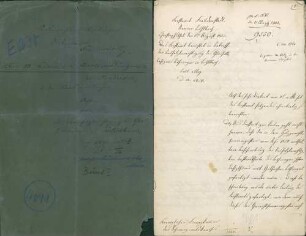 Bauholz-Ansprüche der Glashüttenbesitzer zu Buhlbach (Teil I)
