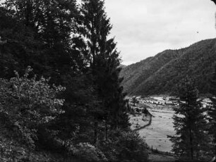 Landschaft : Blick durch die Bäume auf ein Gewässer, vermutlich den Aufseß.