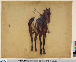 Stehendes Pferd von vorn mit angedeutetem Reiter