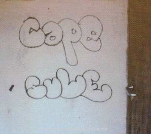 Cape SuLE