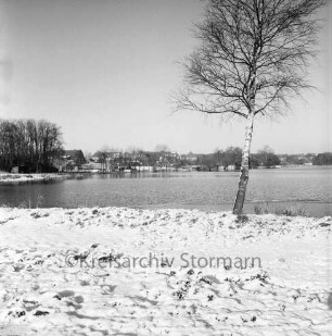 Großensee: Südufer: vorn Wiese mit Baum: hinten Häuser und Bäume: Winter