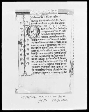 Psalterium cum Canticis — Initiale D (ixi) mit Randausläufer in Form einer Hand mit Weinstock, Folio 30verso