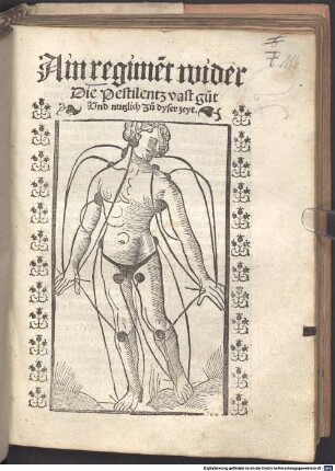 Ain regime[n]t wider Die Pestilentz : vast gut Vnd nutzlich Zu dyser zeyt