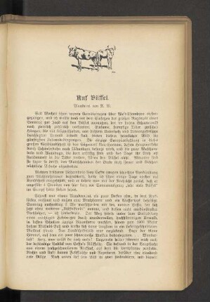 Auf Büffel.
