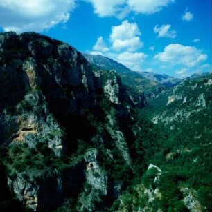 Peloponnes. Lousios-Schlucht in Arkadien