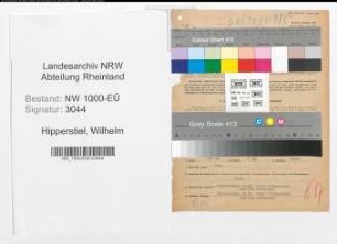 Entnazifizierung Wilhelm Hippenstiel, geb. 02.12.1887 (Fabrikant)
