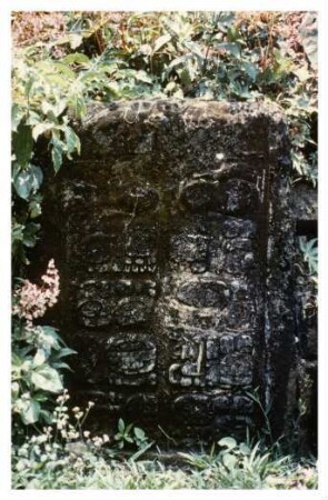 Dos Pilas, Stela 13 (DPL: St. 13)