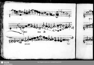 Anonymus: Spiritus Domini replevit orbem terrarum alleluia