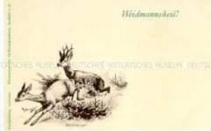 Flüchtende Rehe
