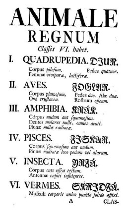 Animale Regnum Classes VI. habet.