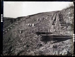 Weinberge 1910