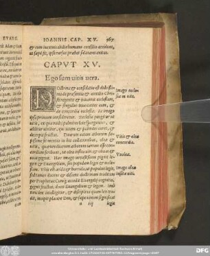 Caput XV. Ego sum vitis vera.