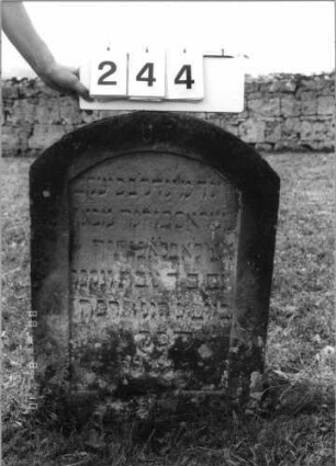 Grabstein 244