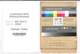 Entnazifizierung Walter Hallmann, geb. 12.03.1889 (Kaufmann)