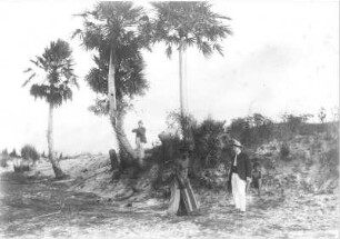 Jagdszene mit Ernst Otto Gerhardt, einem zweiten Jäger und einem einheimischen Jagdhelfer, aufgenommen in Argentinien