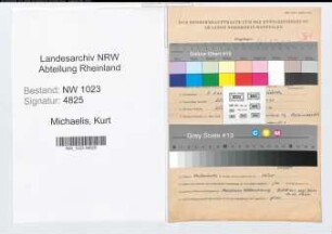 Entnazifizierung Kurt Michaelis , geb. 07.01.1903 (Gewerbeinspektor)