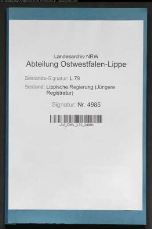 Vereinbarung zwischen der lippischen und der dänischen Regierung zwecks Übersendung von Totenscheinen(Besonderes)