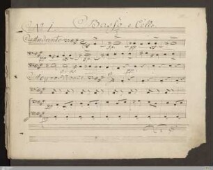 Violoncello und Kontrabass