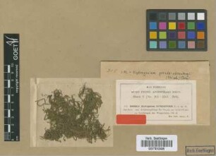 Barbula cataractarum M.Fleisch. [type]