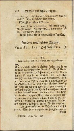 Hundert und achtes Kapitel. Familie der Schwämme.