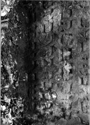 Grabstein 291 (Index: 100108732) Material: Sandstein Zustand: sehr schlecht, verwittert, Textverlust Maße HxBxT: 83x72x13 cm Symbolik: kleine Zweige, verteilt: Grabstein 291C