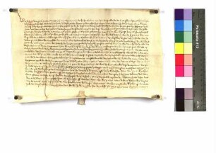 Abt Ehrenfried [von Vellberg] zu Comburg vidimiert: [1320 Nov. 15].
