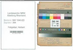 Entnazifizierung Herbert Fellgiebel , geb. 09.04.1901 (Lehrer)