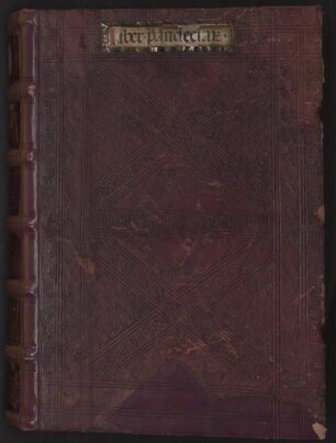 Matthaei Silvatici de Salerno (medici Roberti regis) Pandecta synonymarum et medicinarum simplicium aggregatarum - BSB Clm 30