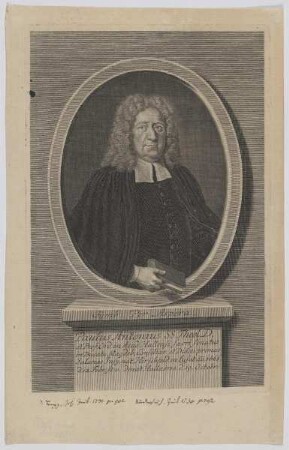 Bildnis des Paulus Antonius