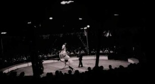 Zirkus Sarrasani, Hannover, 1972