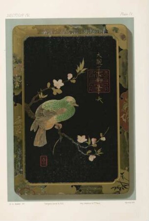 Plate IV.