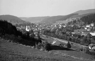 Blick auf den Ort Lenzkirch