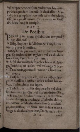 Cap. X. De Pedibus