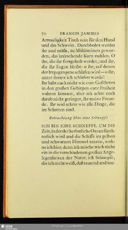 Betrachtung über eine Schnepfe