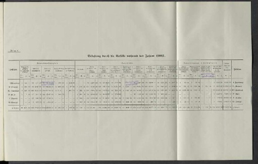 Belastung durch die Unfälle während des Jahres 1907.