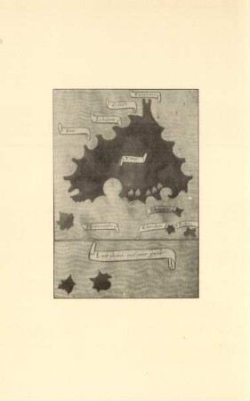 [Pigafetta's chart of the island of Timor, and of the Laut Chidol or Great Sea]