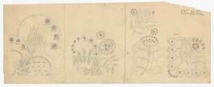 Ornamentstudien : Dreiteilung des Blattes, Ornamentstudien zu stilisierten vegetabilen Formen